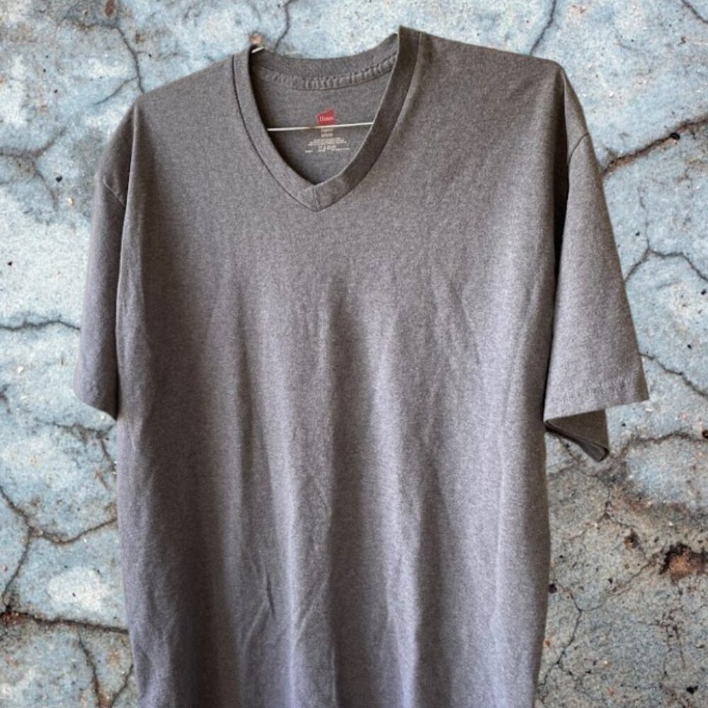 Hanes Tagless Men's V-Neck Shirt